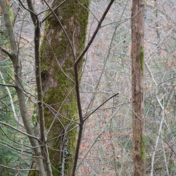 2016-12 France/Rumilly/DSC_0039.JPG